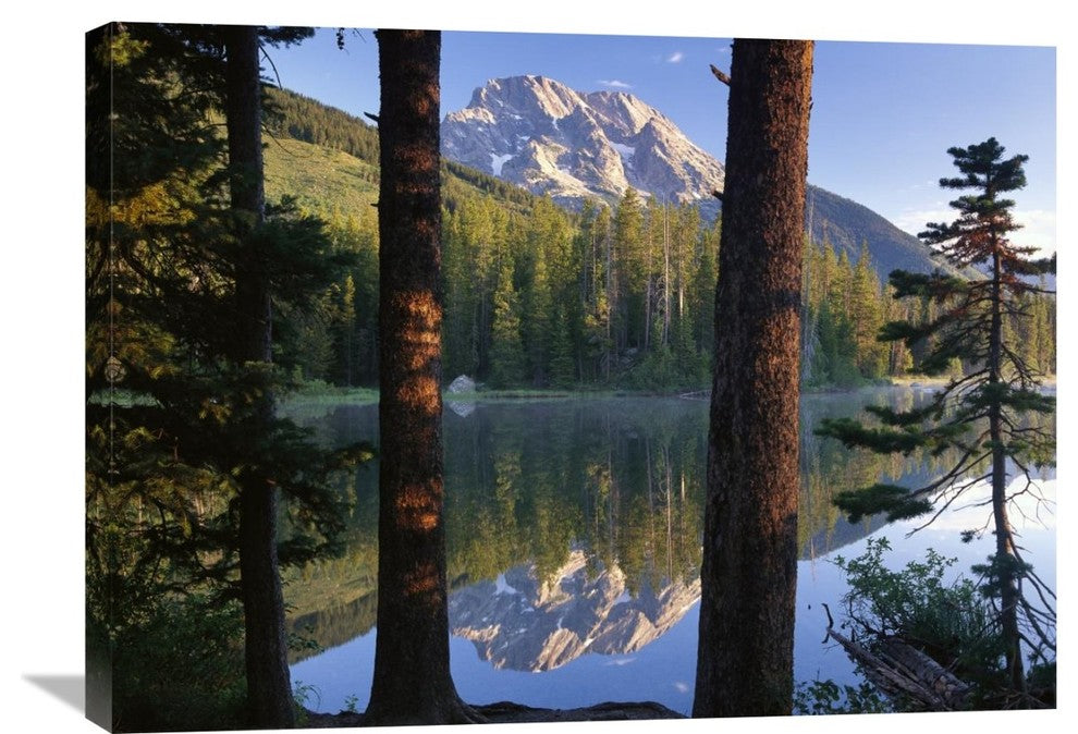 "Mt Moran Reflected In String Lake, Grand Teton Np, Wyoming" Artwork, 32" x 24"
