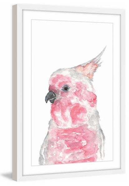 "Major Mitchell's Cockatoo II" Framed Painting Print, 12"x18"