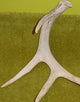 Mule Deer Yellowstone Chandelier, Sunbleached Antler, Parchment Shades