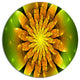 Bright Yellow Fractal Flower On Green, Flower Round Wall Art, 36"