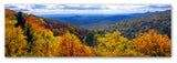 Doug Cavanah 'Autumn Forest' Canvas Art, 6x19