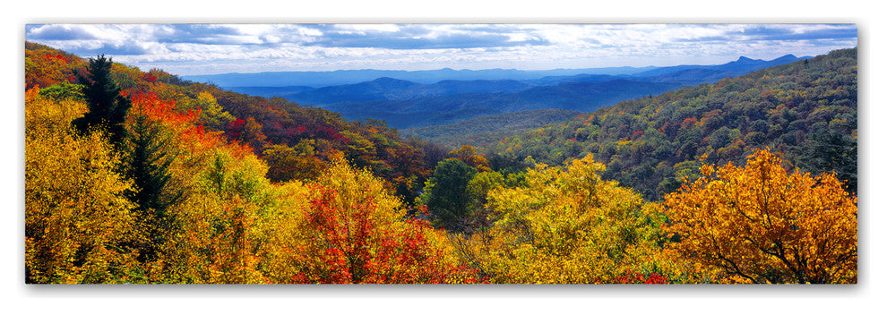 Doug Cavanah 'Autumn Forest' Canvas Art, 6x19