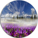 Spring Flowers Crocuses, Floral Photography Round Wall Art, 38"