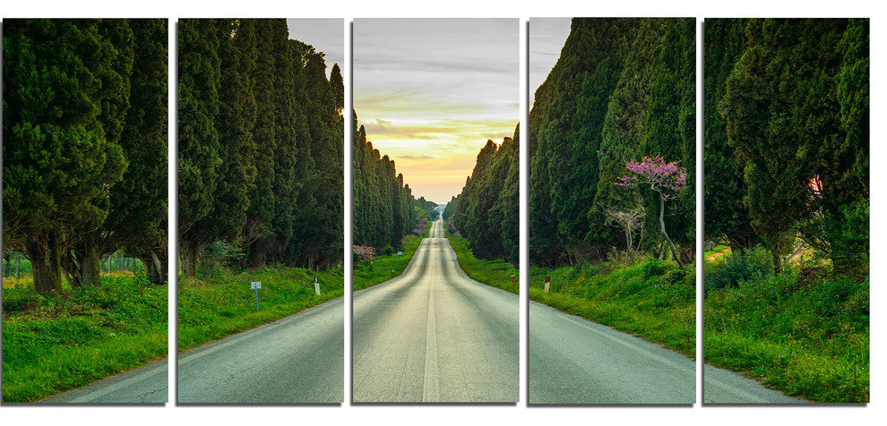 "Straight Road Through Cypress Trees" Landscape Wall Art, 5 Panels, 60"x28"