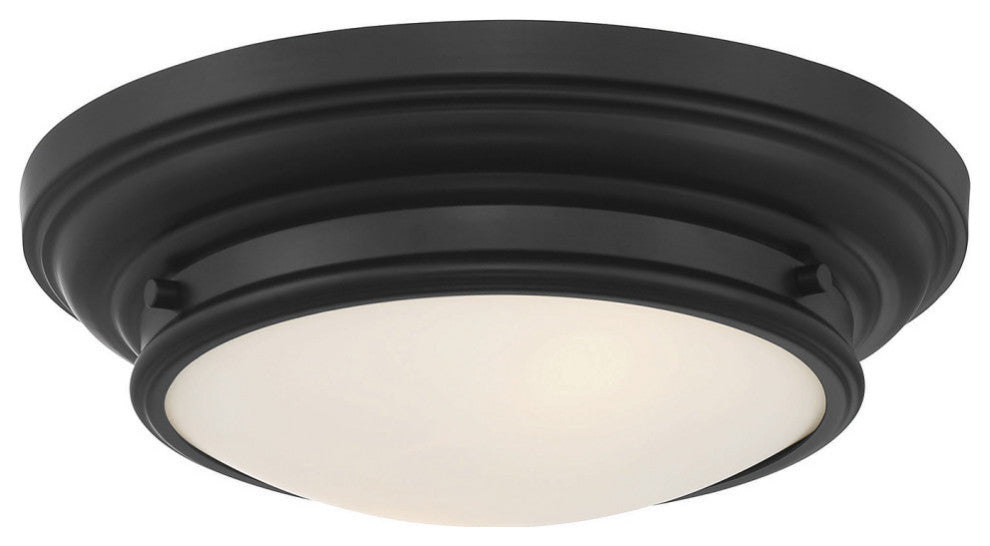 2-Light Ceiling Light, Matte Black