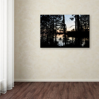 Nicole Dietz 'Sunset Through The Trees' Canvas Art, 47x30