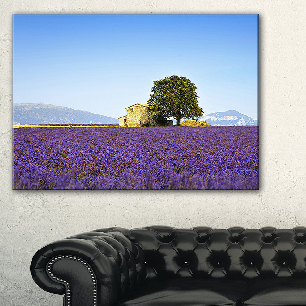 "Lavender Flowers Blooming Field" Landscape Wall Art Print, 32"x16"