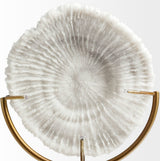 Sandy II, Medium 6"x3" White Coastal Sand Dollar Object, Medium