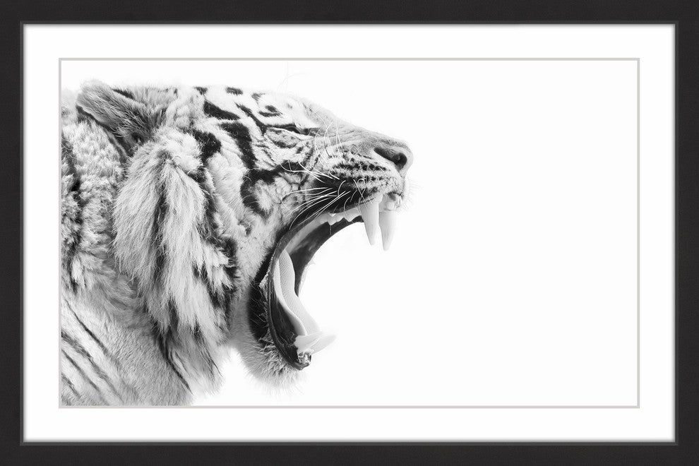 "King's Fangs" Framed Painting Print, 24x16