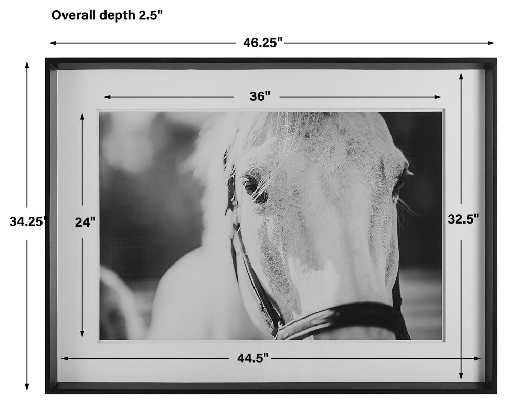 Uttermost 41464 Eyes On The Prize Framed Print