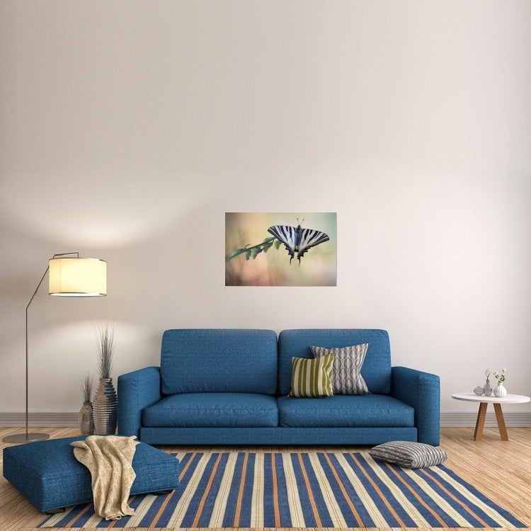 "Chupa Leche" Stretched Canvas Giclee by Jimmy Hoffman, 36x24"
