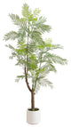 6ft. Artificial Minimalist Jacaranda Tree, White Decorative Planter
