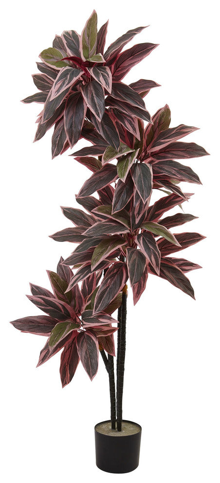 54'' Caladium Silk Plant