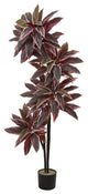54'' Caladium Silk Plant