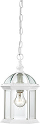 Boxwood 1-Light Outdoor Hanging, White