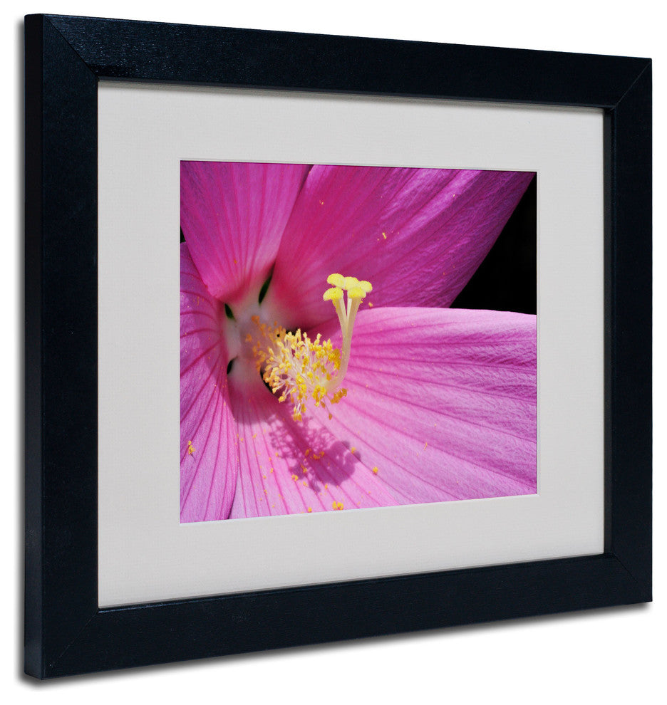'Inside a Pink Hibiscus' Matted Framed Canvas Art by Kurt Shaffer