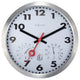 Clematis, 14- Inch Outdoor Weather Station Wall Clock