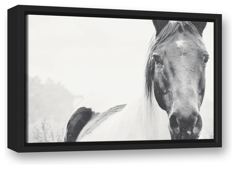 Black and White Lone Horse 12x18 Black Floating Framed Canvas