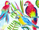 Three Parrots Door Mat 18x26