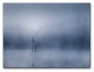 The Tiny Island' Canvas Wall Decor, 30"x40"