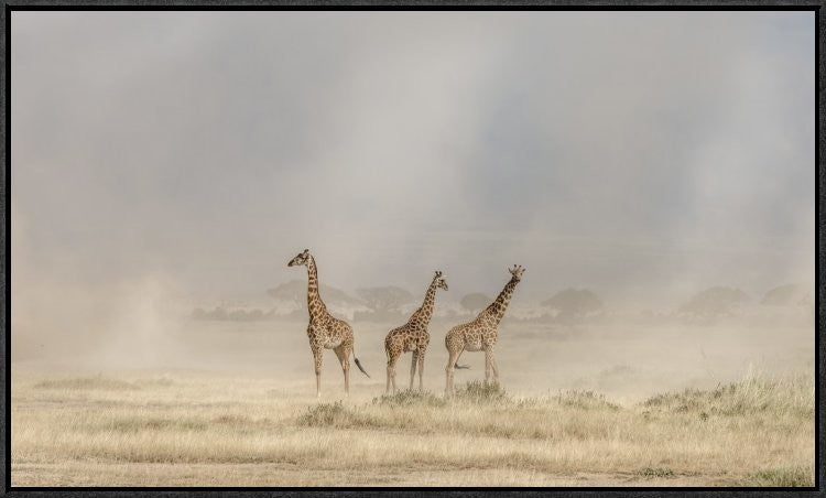 "Weathering The Amboseli Dust Devils"  by Jeffrey C. Sink, 31x18"