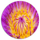Pink Yellow Abstract Lotus Flower, Flowers Disc Metal Wall Art, 11"