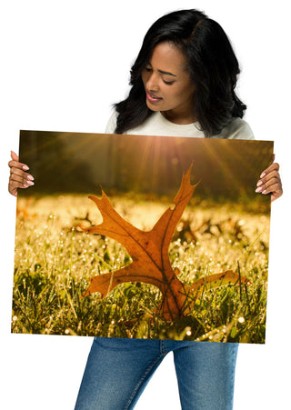 Fall Leaf in Morning Sun - Autumn Nature Photograph Unframed Wall Art Print, 16" X 20"