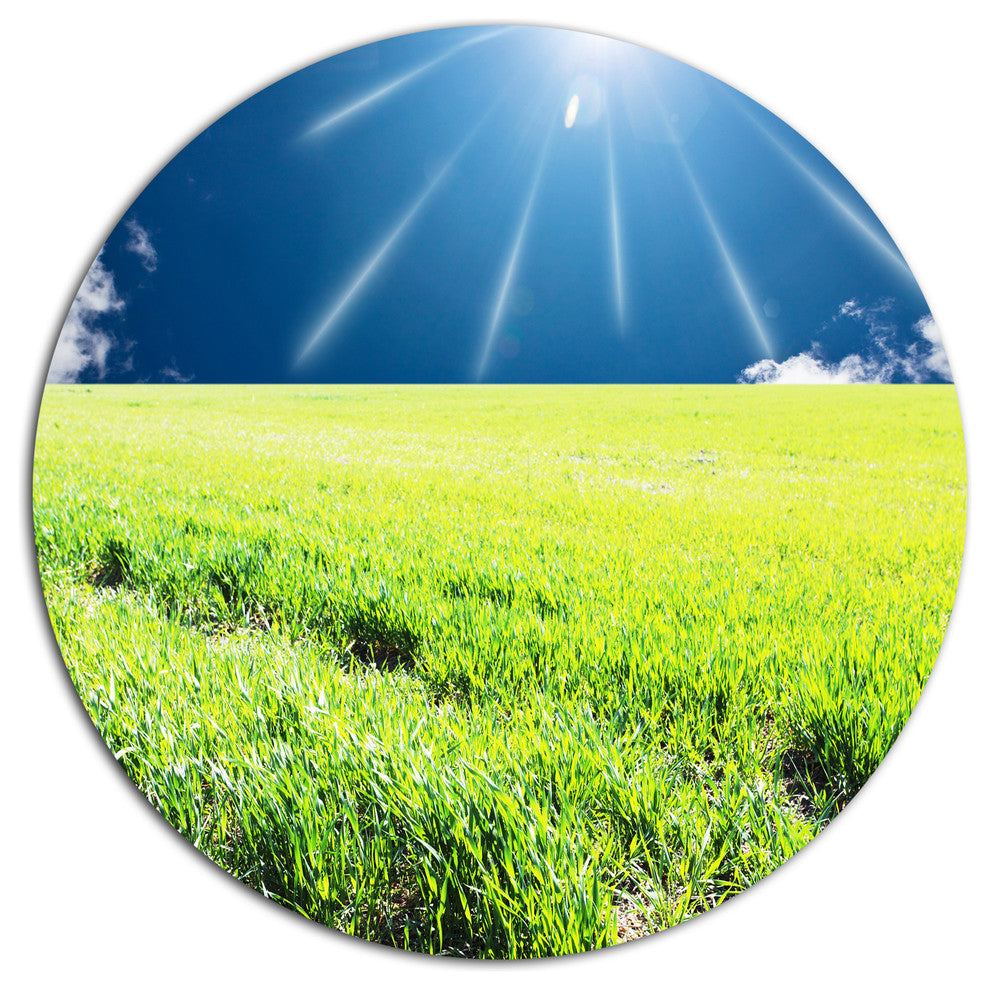 Sunny Field With Green Grassland, Landscape Round Wall Art, 11"