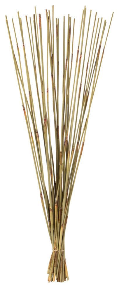 All Natural Elephant Reed, Dried , Natural, 40-42?