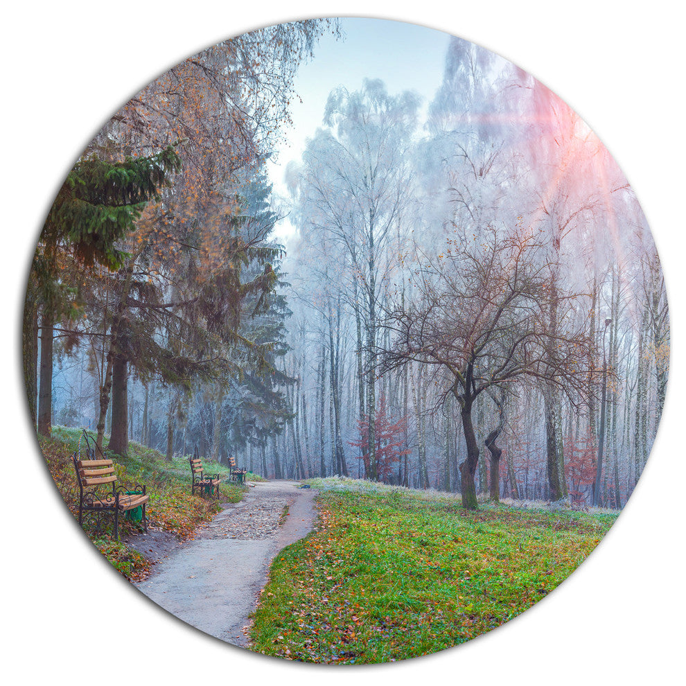 Bright Sun Over Autumn Trees, Landscape Art Disc Metal Wall Art, 23"