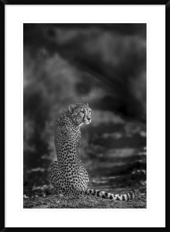 "The Look Back" Framed Digital Print by Jaco Marx, 28"x38"