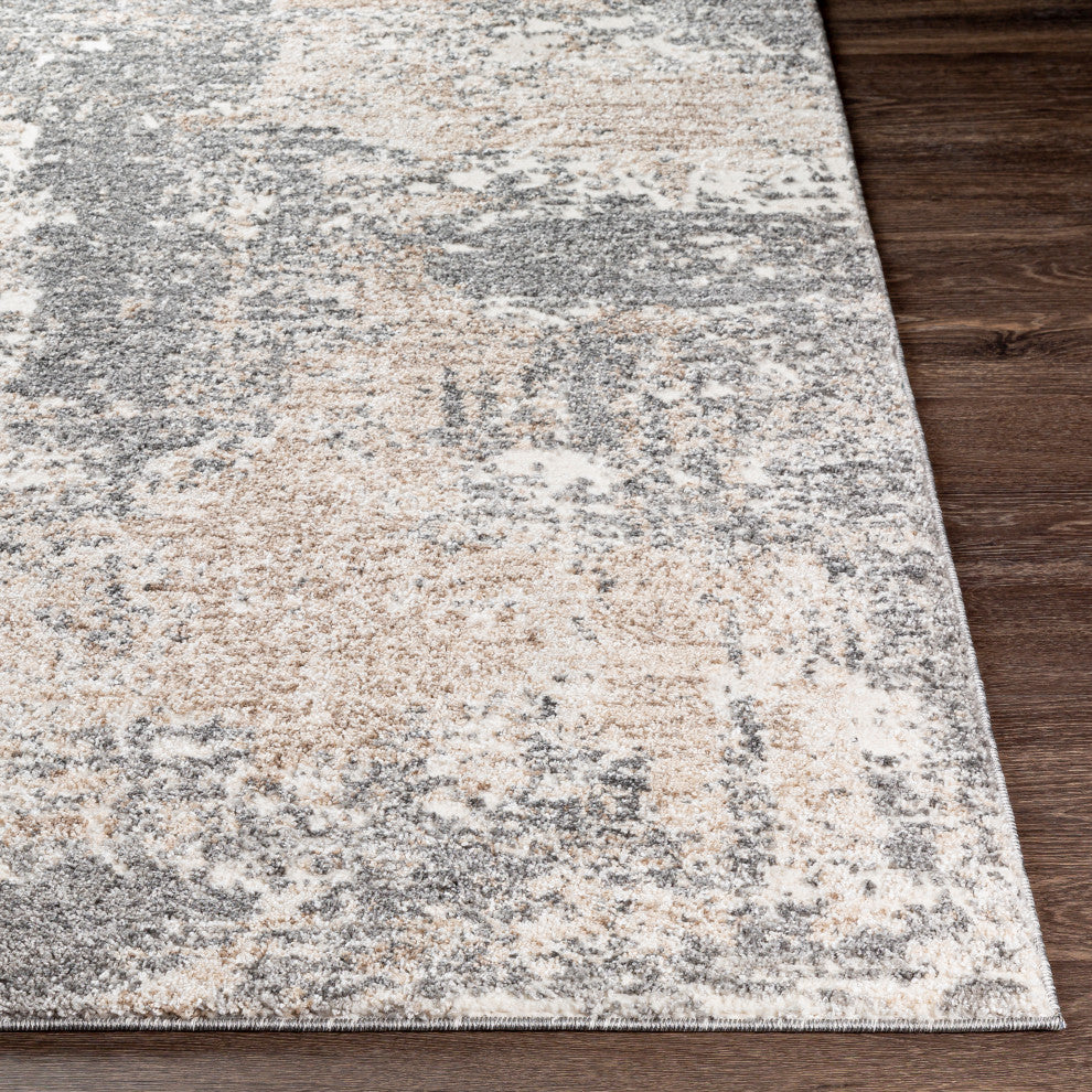 Andorra ARD-2302 Rug, Charcoal, 5'3"x7'3"