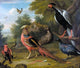 Charles Collins Exotic Pheasants and Other Birds Gallery Wrapped Canvas Print