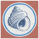 "Summer Shells III" Digital Paper Print by Kathrine Lovell, 38"x38"