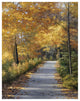 "Late Fall" Digital Paper Print by Diane Romanello, 24"x30"
