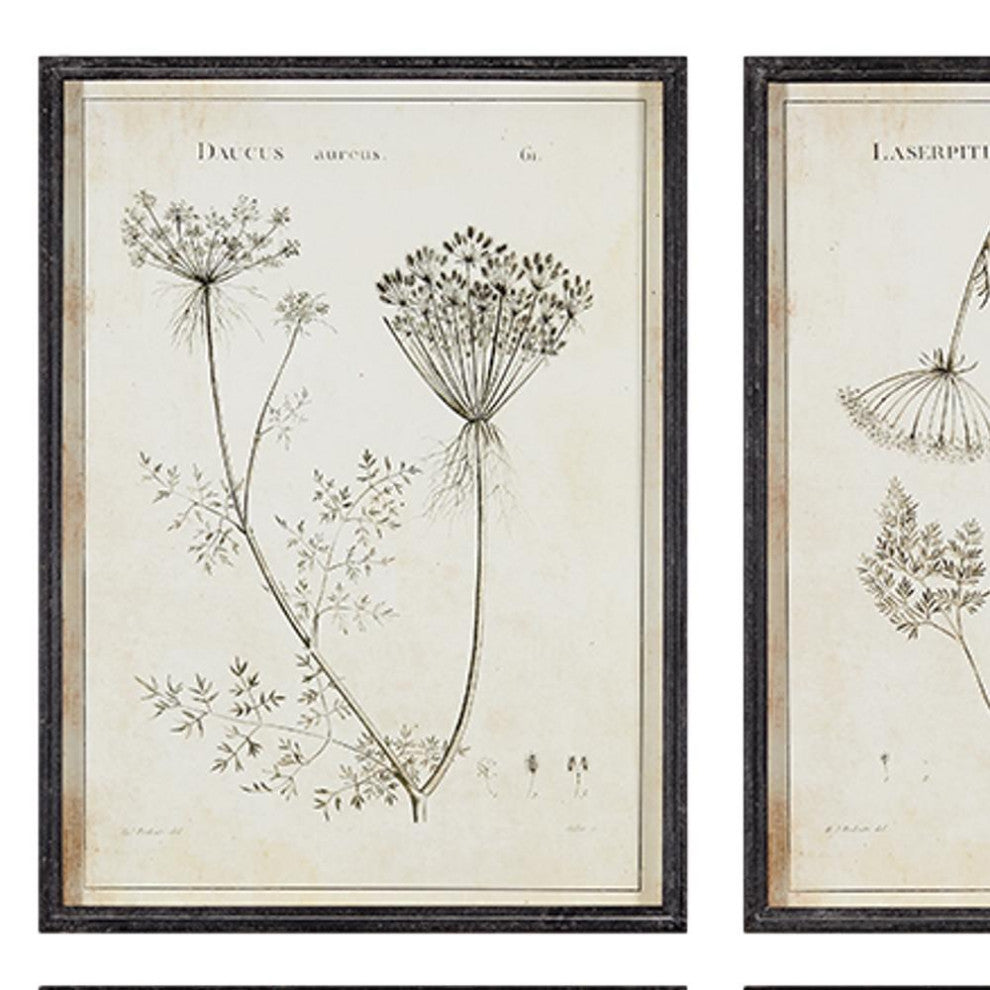 Set of 6 Black White Wild Flower Prints Vintage Style 24 in Wood Frame Gray