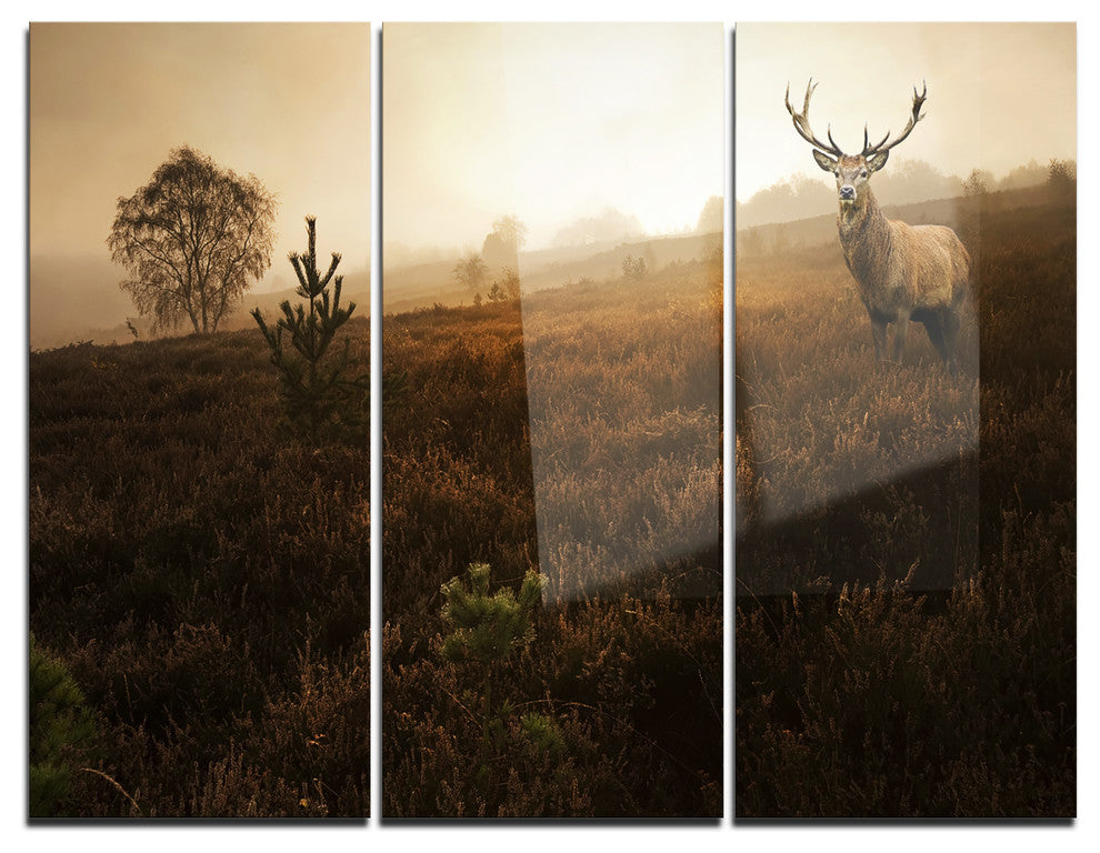 "Mist Forest With Red Deer Stag" Photo Metal Wall Art, 3 Panels, 36"x28"