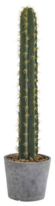 41" Cactus, Stone Planter Artificial Plant