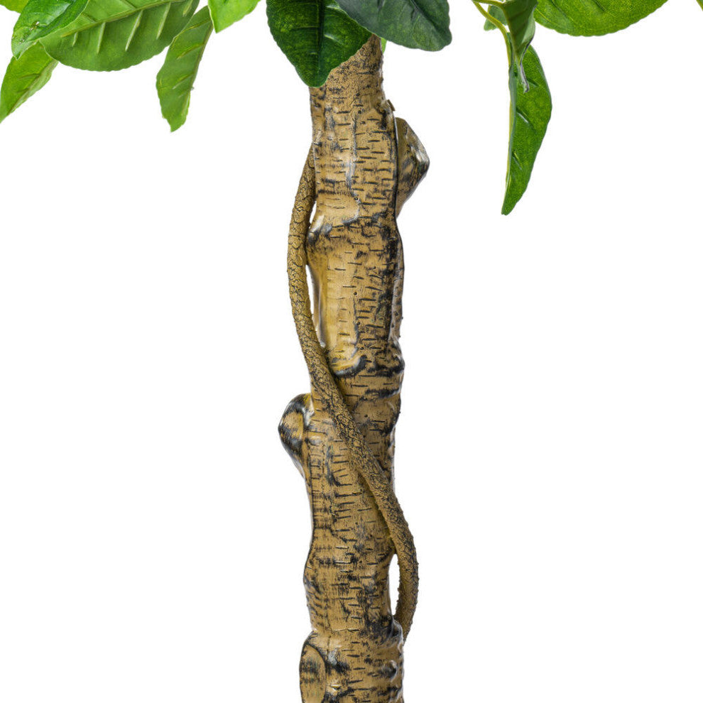 White background; close-up of trunk texture.