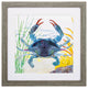 Sea Creature Crab Framed Art
