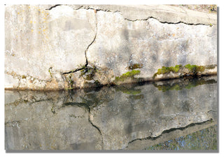 'Wall Mirror' Canvas Art by Kurt Shaffer