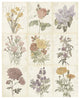 "Flowers of the Month 9 Patch Vintage" Paper Print by Katie Pertiet, 30"x37"