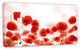 Poppy Flowers on Pink Background, Floral Canvas Art Print, 32"x16"