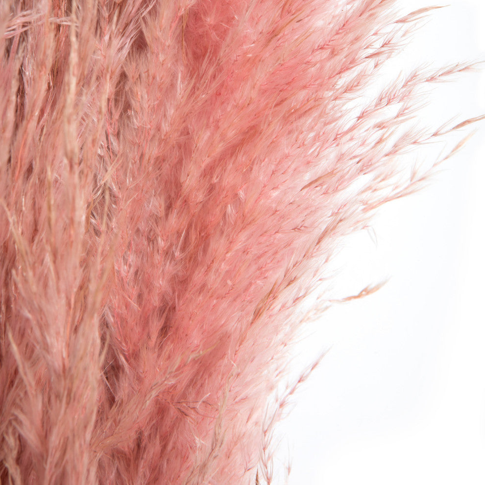 Vickerman 46" Dried Pampas Grass, Salmon