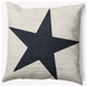 18x18" Big Star Nautical Decorative Indoor Pillow, Shark Blue