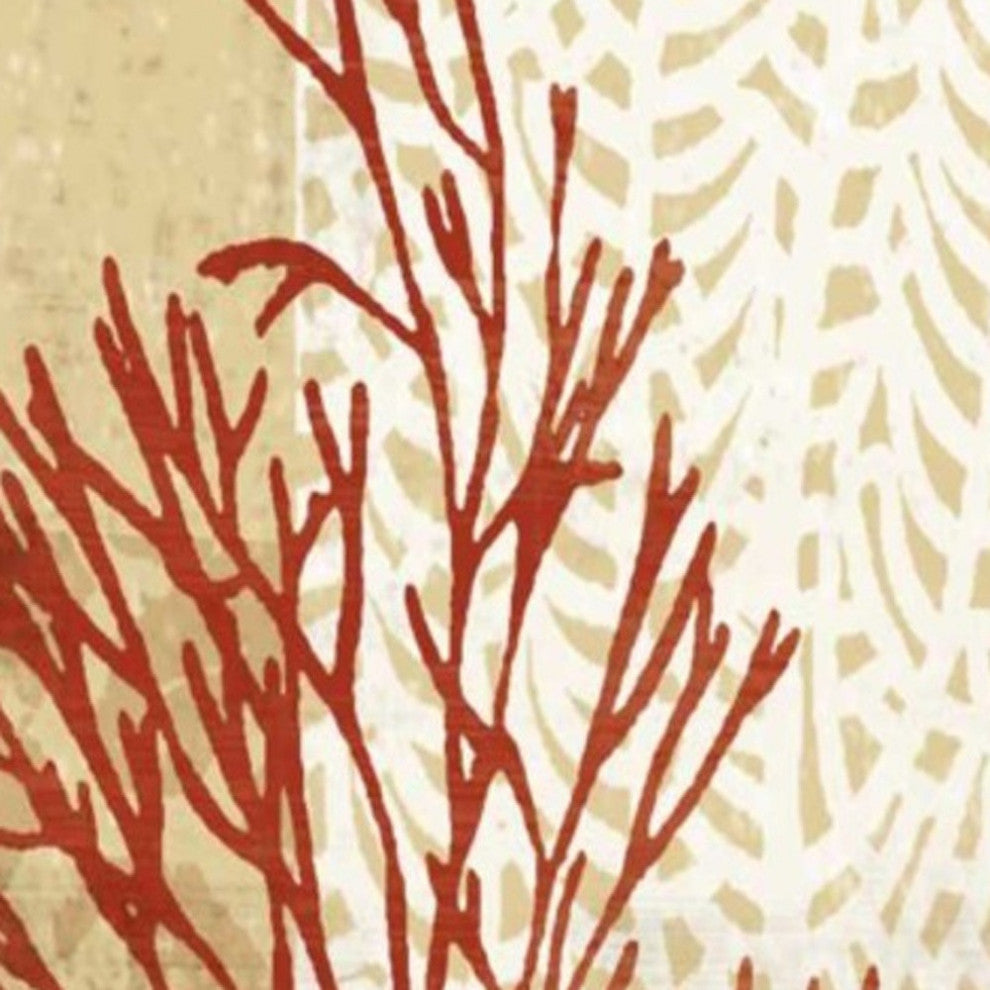 24" Underwater Coral With Seashells and Sandollar 2 Giclee Wrap Canvas Wall Art