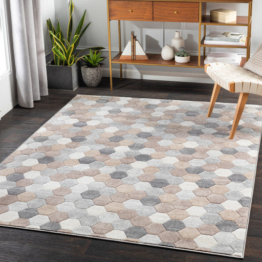 Surya Remy RMY-2301 7'10"x10' Rug, Taupe/Camel/Gray/Light Gray/White