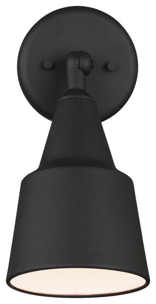 Flood Light 1-Light Flood Light, Black