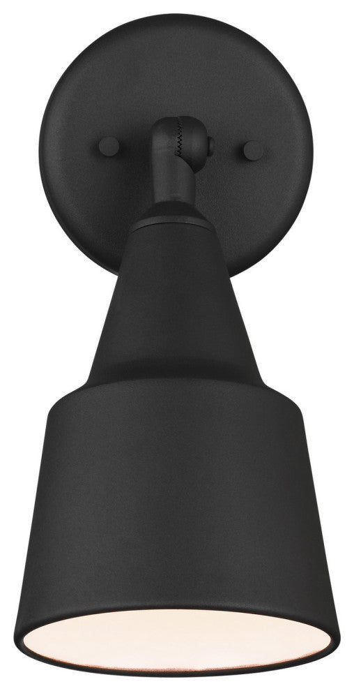 Flood Light 1-Light Flood Light, Black