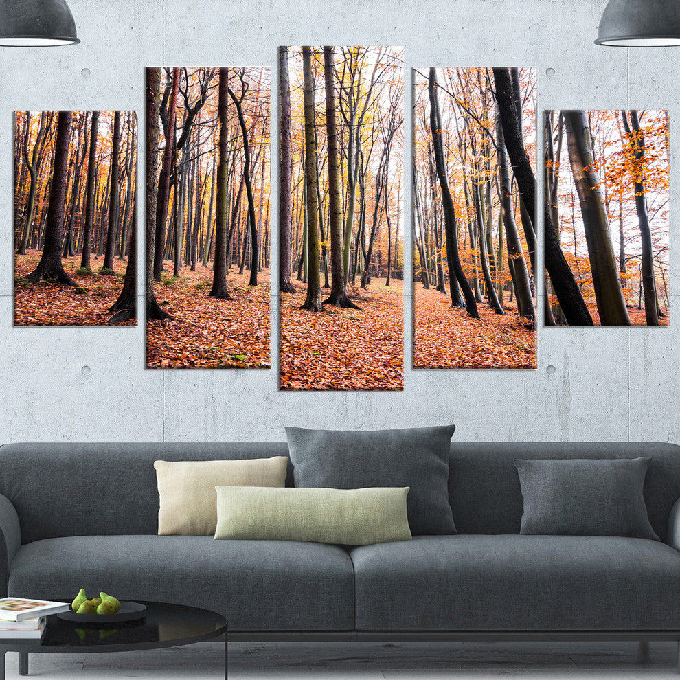 Bright Fall Forest with Clear Sky, Modern Forest Canvas Art, 60"x32", 5 Panels